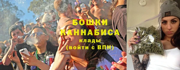 ГАЛЛЮЦИНОГЕННЫЕ ГРИБЫ Тавда