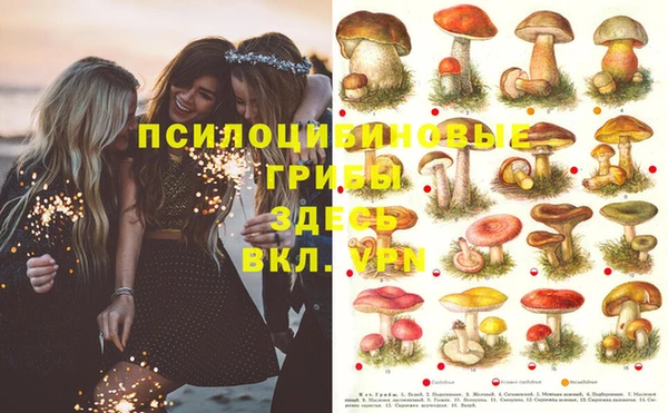 MESCALINE Беломорск