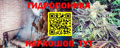 mix Моздок