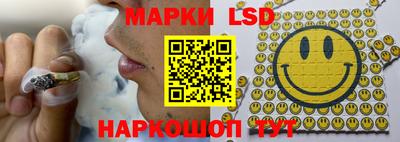 эйфоретик Можга