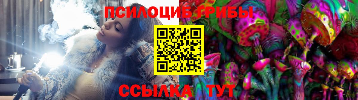 Галлюциногенные грибы Psilocybe Гусев